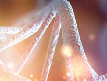 Fraud lives in DNA